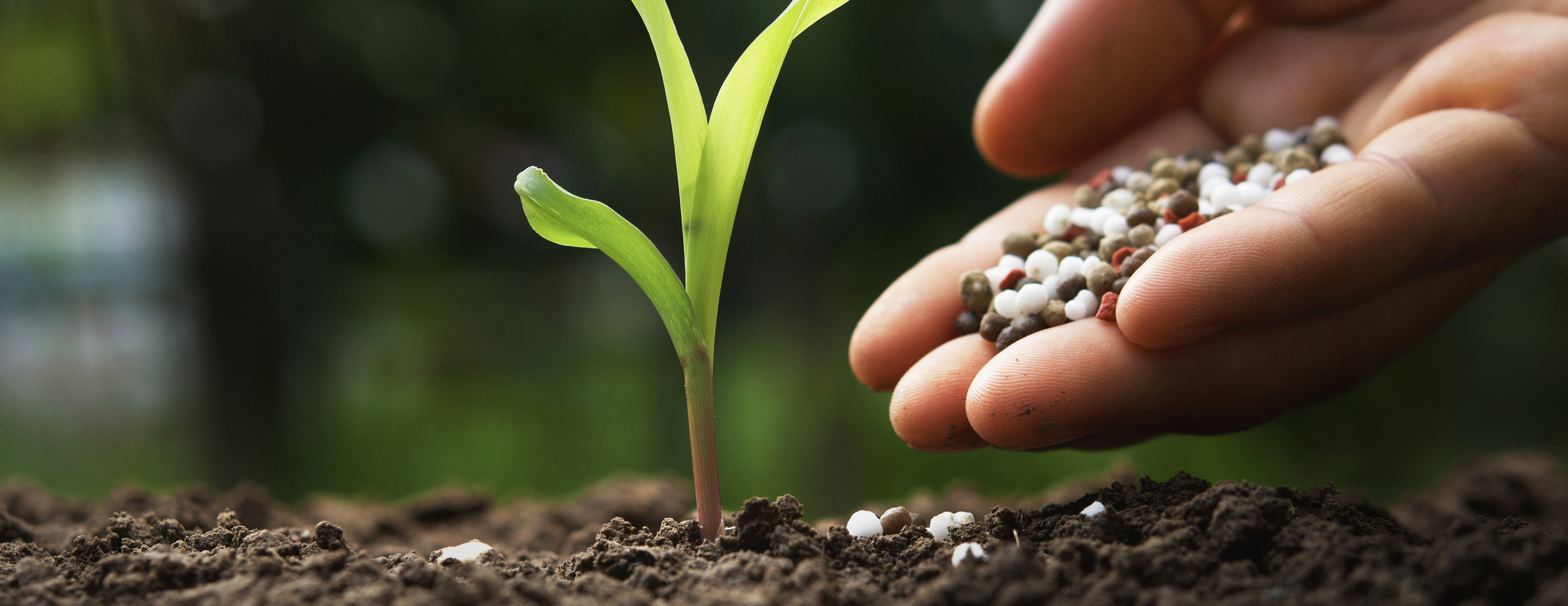 Farmyard and Me 2025